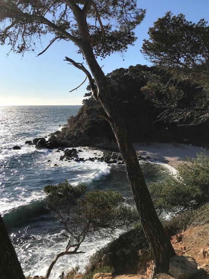 Villa Lucienne Bandol , T2 4 Etoiles Avec Garage, Dans Les Calanques Exteriér fotografie
