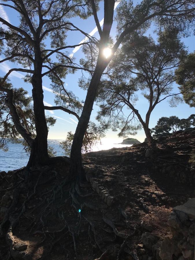 Villa Lucienne Bandol , T2 4 Etoiles Avec Garage, Dans Les Calanques Exteriér fotografie
